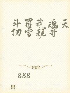 斗罗我魂天帝千仞雪亲哥