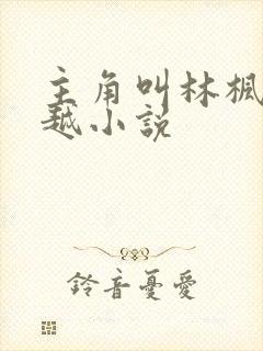 主角叫林枫的穿越小说