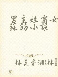 男主姓商女主姓苏的小说