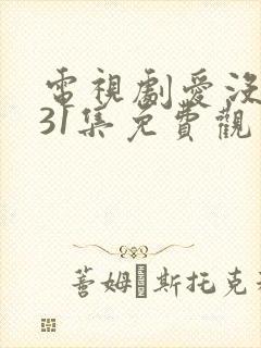 电视剧爱没有错31集免费观看