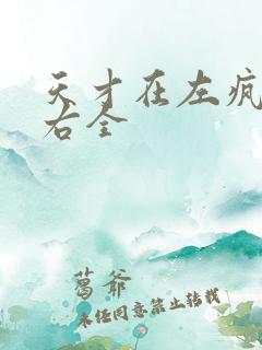 天才在左疯子在右全