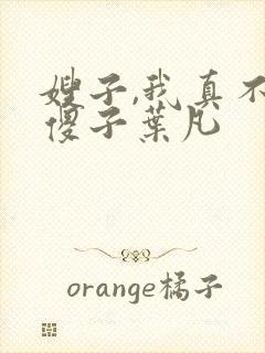 嫂子,我真不是傻子叶凡