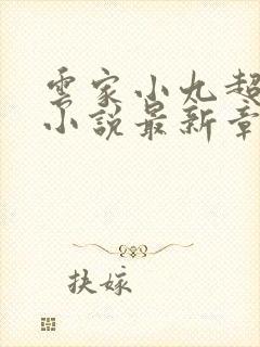 云家小九超皮哒小说最新章节