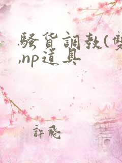 骚货调教(双性,np道具