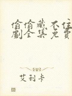 偷偷藏不住电视剧全集免费看