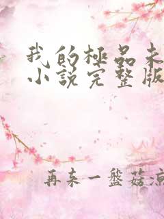 我的极品未婚妻小说完整版本