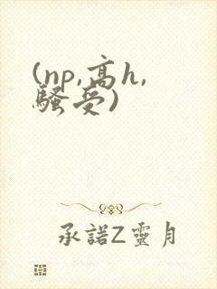 (np,高h,骚受)