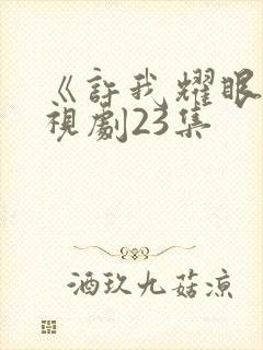 《许我耀眼》电视剧23集