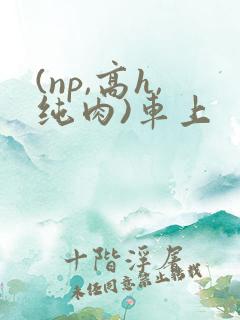 (np,高h,纯肉)车上