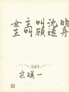 女主叫沈明月男主叫顾远舟的小说