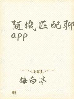 随机匹配聊天的app