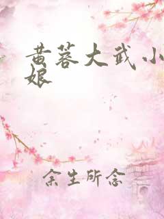 黄蓉大武小武师娘