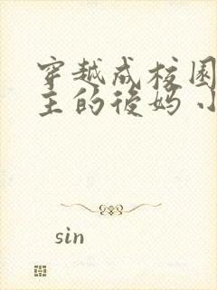 穿越成校园文男主的后妈 小说