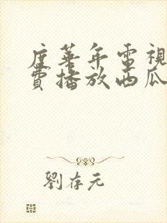 度华年电视剧免费播放西瓜网