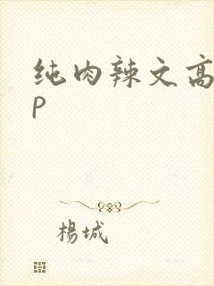 纯肉辣文高hnp