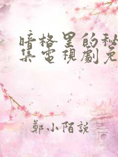 暗格里的秘密全集电视剧免费观看