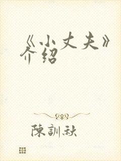 《小丈夫》剧情介绍