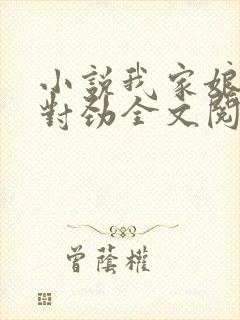 小说我家娘子不对劲全文阅读免费