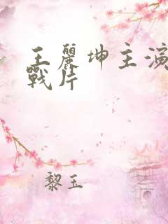 王丽坤主演的谍战片