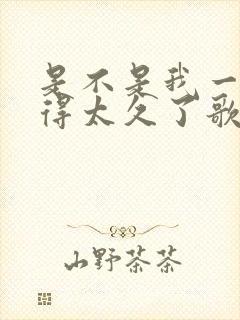 是不是我一人过得太久了歌名