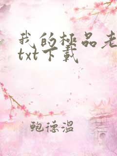 我的极品老婆 txt下载
