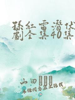 孙红雷潜伏电视剧全集40集免费