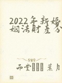 2022年新婚姻法财产分割