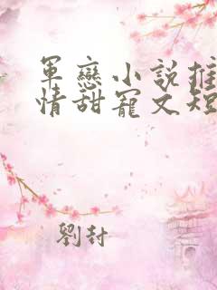 军恋小说推荐言情甜宠文短篇