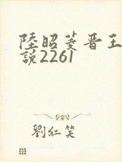 陆昭菱晋王的小说2261