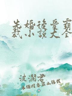 先婚后爱霸道总裁小说大全