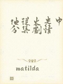 他从火光中走来分集剧情