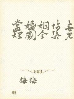 当婚姻站上法庭短剧全集免费观看