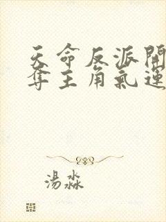 天命反派开局掠夺主角气运