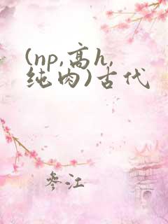 (np,高h,纯肉)古代