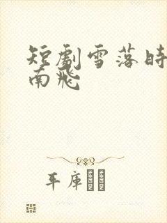 短剧雪落时你向南飞