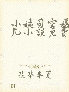 小姨司空嫣然叶凡小说免费阅读全文