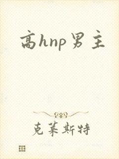 高hnp男主