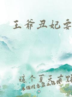 王爷丑妃要逆天