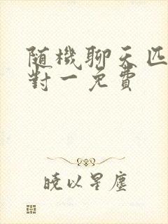 随机聊天匹配一对一免费