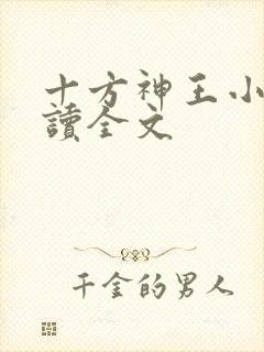 十方神王小说阅读全文