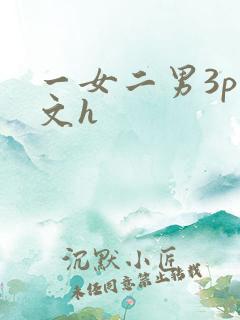 一女二男3p爽文h