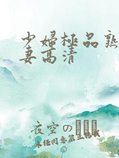 少妇极品熟妇人妻高清