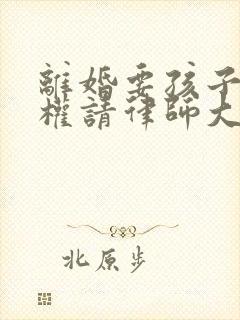 离婚要孩子抚养权请律师大概需要多少钱