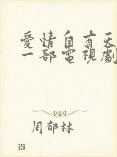 爱情自有天意第一部电视剧免费观看