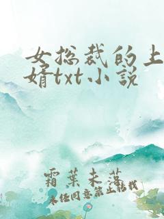 女总裁的上门龙婿txt小说