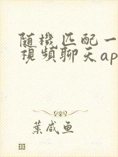 随机匹配一对一视频聊天app