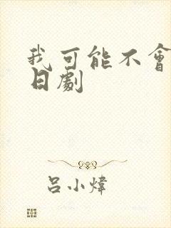 我可能不会爱你日剧