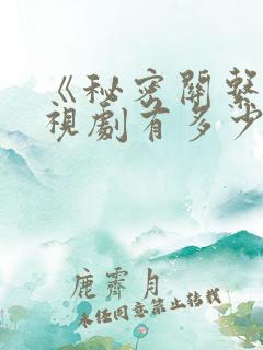 《秘密关系》电视剧有多少集