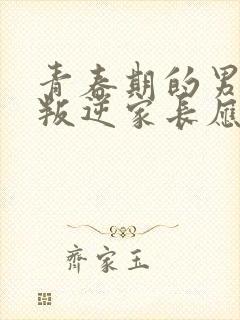 青春期的男孩子叛逆家长应该怎么做教育