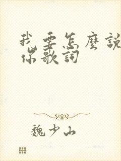 我要怎么说我爱你歌词